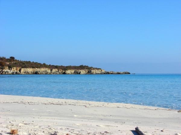 Patrimonio U Lecciu Location vacance
